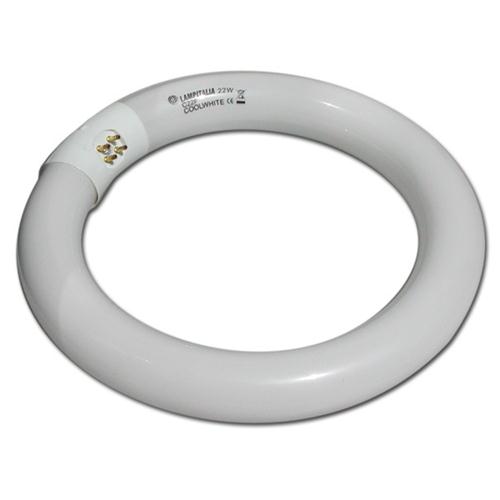 LAMPADA NEON TIPO CIRCOLINA 22W 1250LUM FREDDO