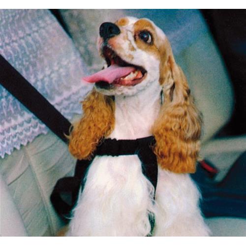 PETTORINA COMPLETA TAGLIA M