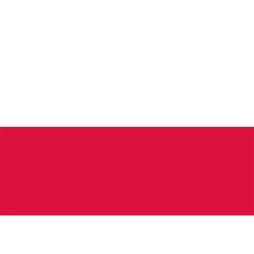 BANDIERA IN POLIESTERE 20X30CM POLONIA