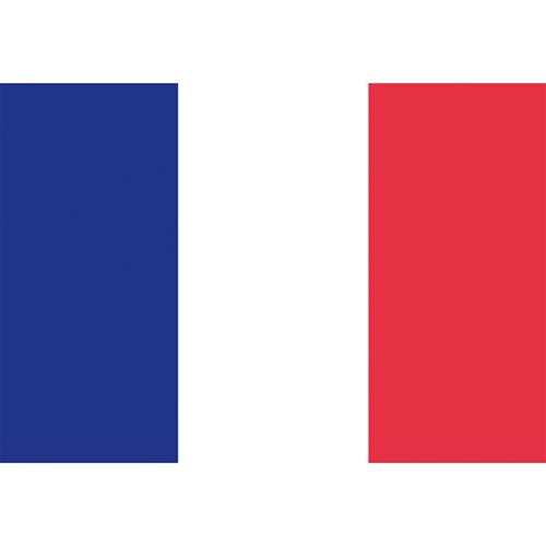 BANDIERA IN POLIESTERE 30X45CM FRANCIA