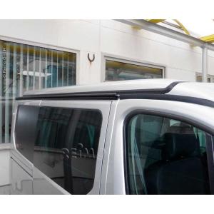 MULTIRAIL TRAFIC DAL 2015 DX