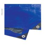 TELO MULTIUSO 2X2MT OCCHIELLATO BLU