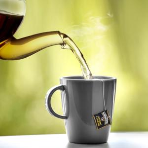 TAZZA 30CL DOLOMIT GREY 0830051N.C20